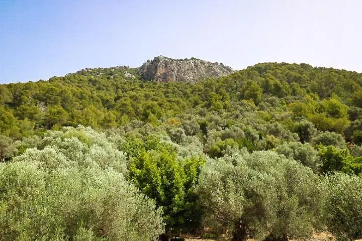 Petita Mare Villa Binibona Spain